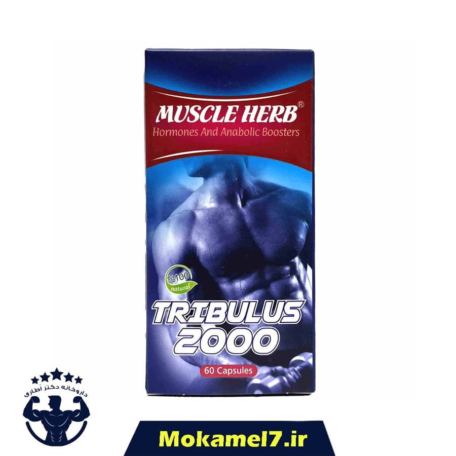 ماسل هرب تریبولوس 2000 میلی گرم 60 عدد | Muscle Herb Tribulus 2000 mg