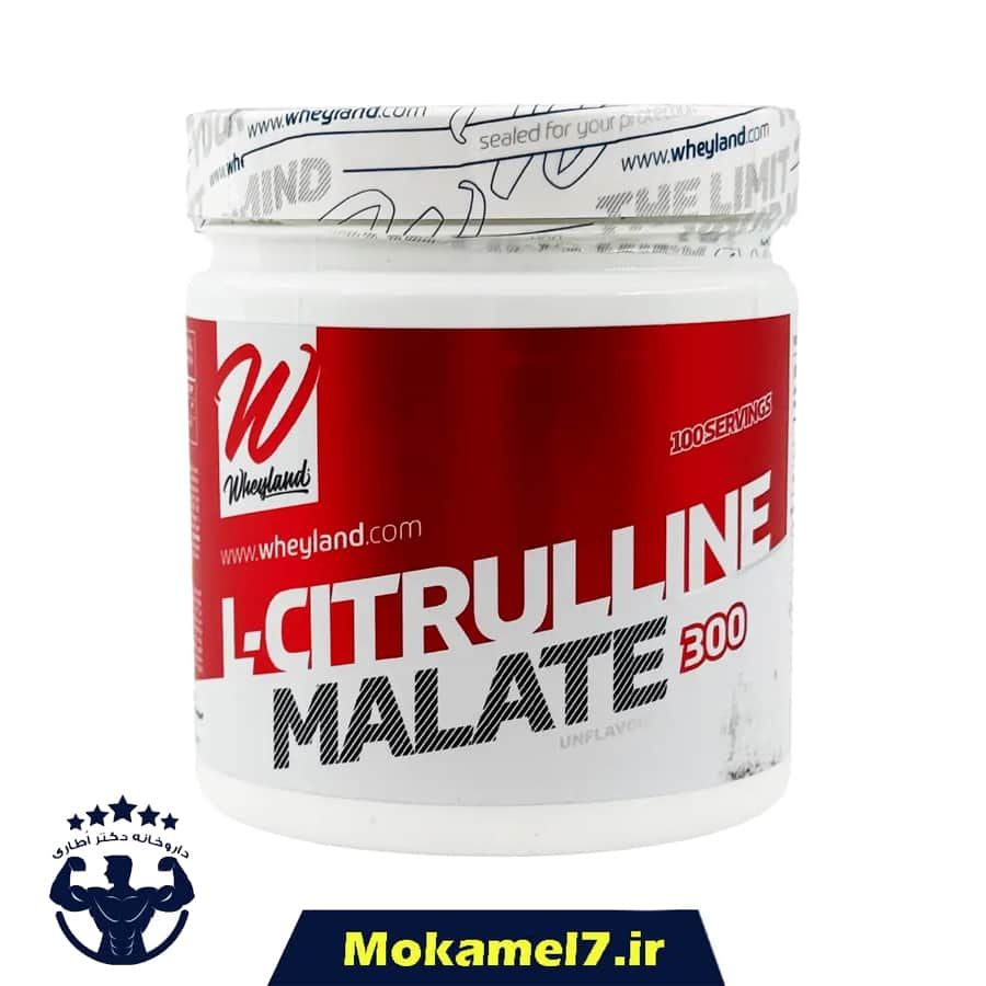 ال سیترولین مالات وی لند استارلبز 300 گرم | Wheyland Starlabz L-Citruline Malate